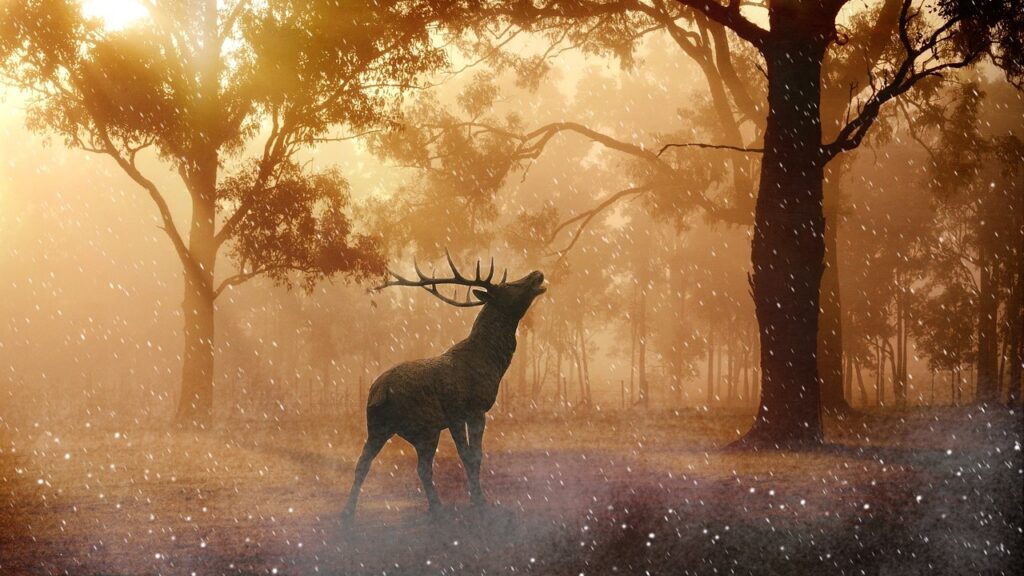 Dreaming About Deer: Decoding The Symbolism