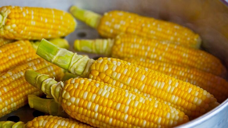 Corn Dream Meaning: Interpretations And Symbolism