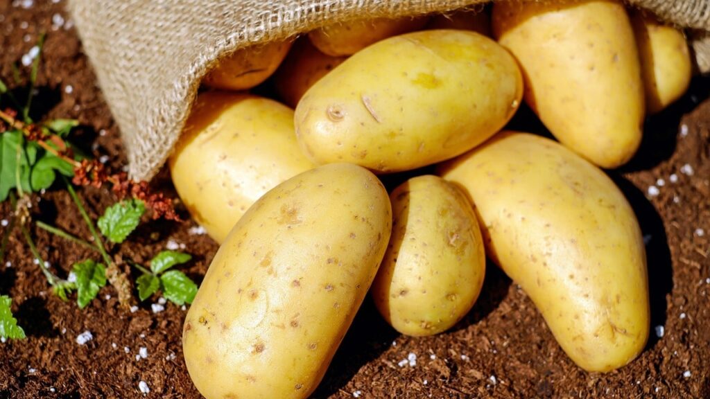 Dreaming About Potatoes: Insights Into Your Subconscious