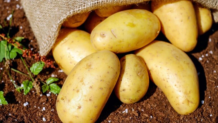 Dreaming About Potatoes: Insights Into Your Subconscious
