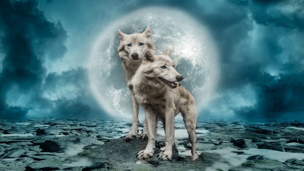 Dual Nature Of Dreams: 2 Wolves Dream Meaning